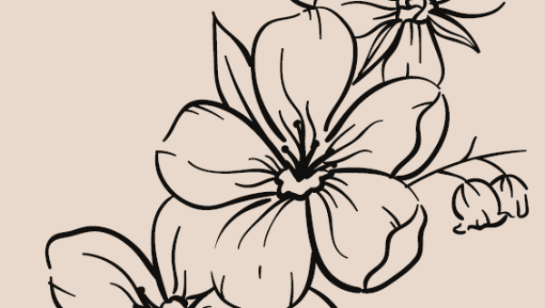 TE REGALO UN POEMA 6: BEGOÑA ABAD